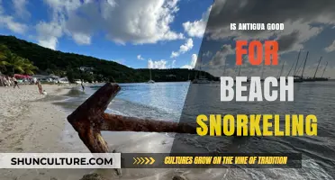 Discover Antigua's Snorkeling Paradise: Pristine Beaches and Vibrant Marine Life