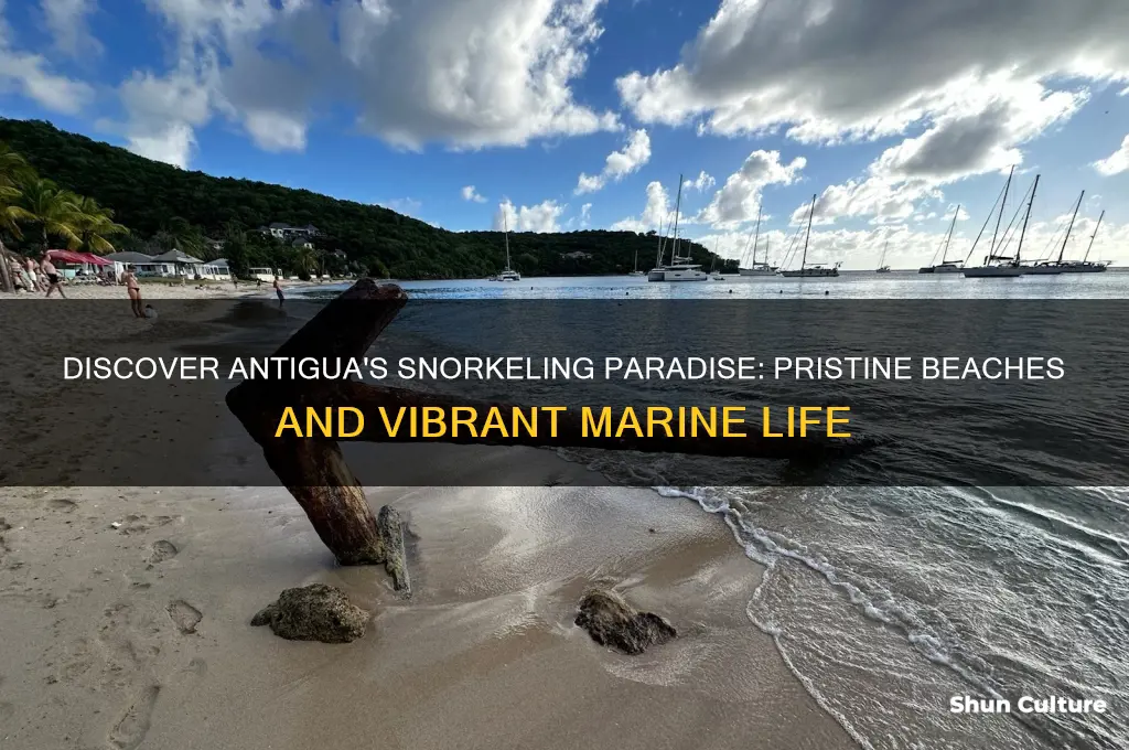is antigua good for beach snorkeling