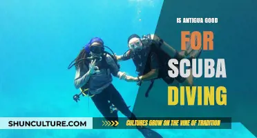 Scuba Diving in Antigua: A Hidden Caribbean Underwater Paradise