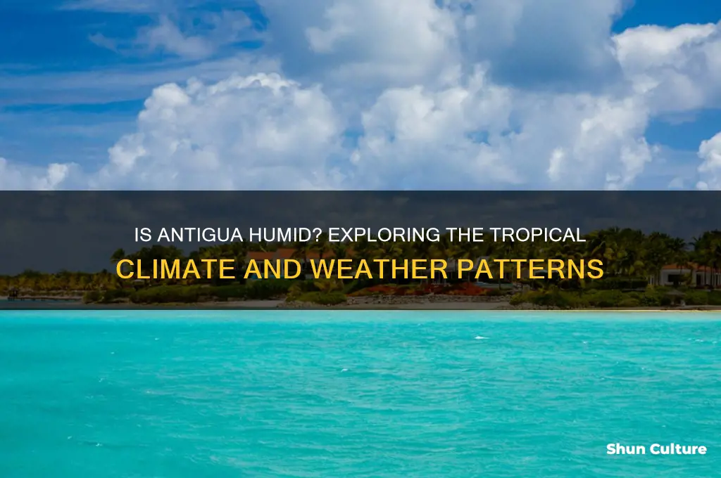 is antigua humid
