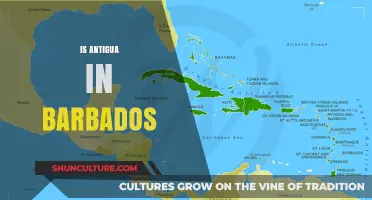 Is Antigua in Barbados? Unraveling Caribbean Geography Myths