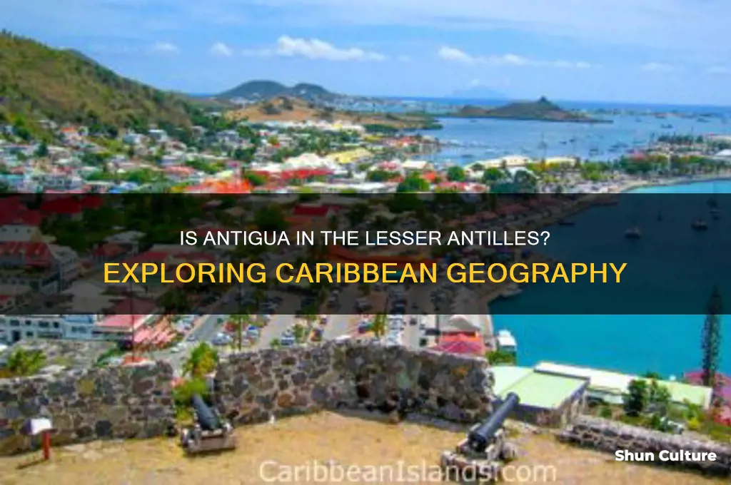 is antigua in the lesser antilles