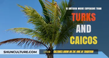 Antigua vs. Turks and Caicos: Comparing Travel Costs and Expenses