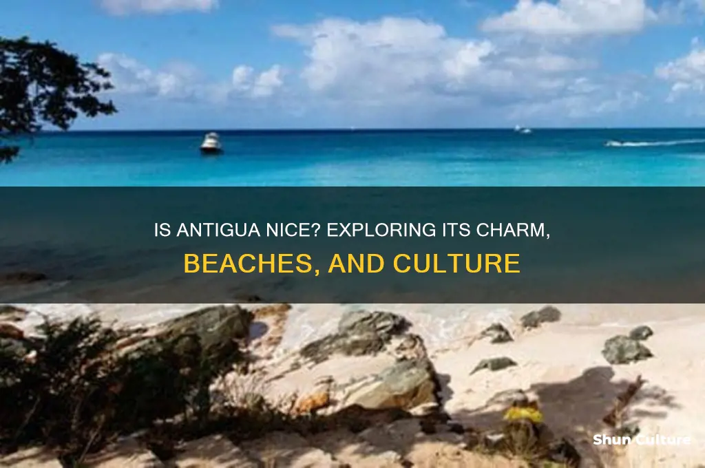 is antigua nice