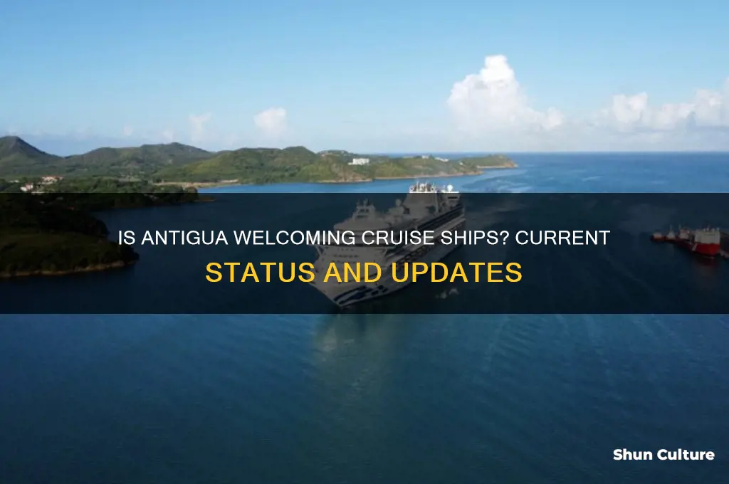 is antigua open to cruise ships