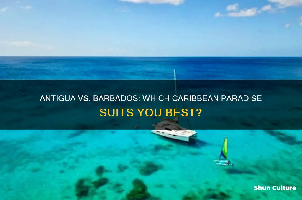 is antigua or barbados better