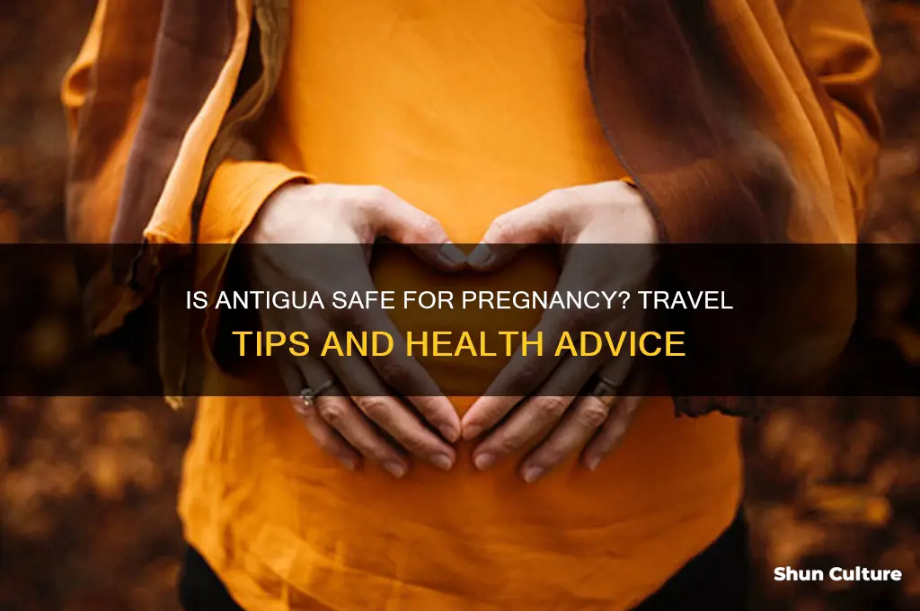 is antigua safe for pregnancy