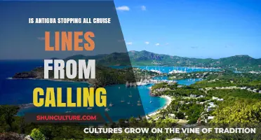 Antigua's Cruise Ban: Are All Lines Being Blocked?