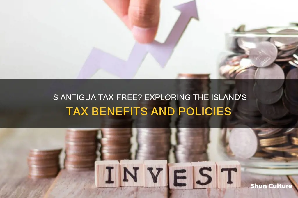 is antigua tax free
