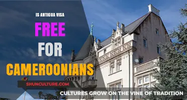 Is Antigua Visa-Free for Cameroonians? Travel Requirements Explained