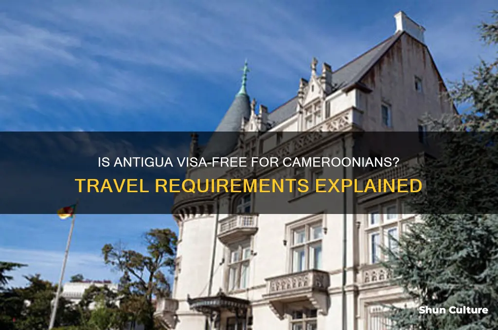 is antigua visa free for cameroonians