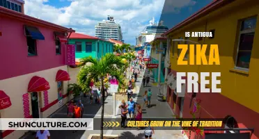 Is Antigua Zika-Free? Travel Safely with Updated Health Insights