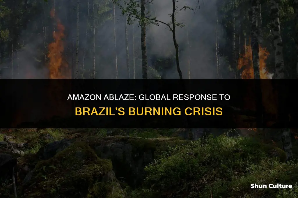 is anyone doing anything about brazil burning
