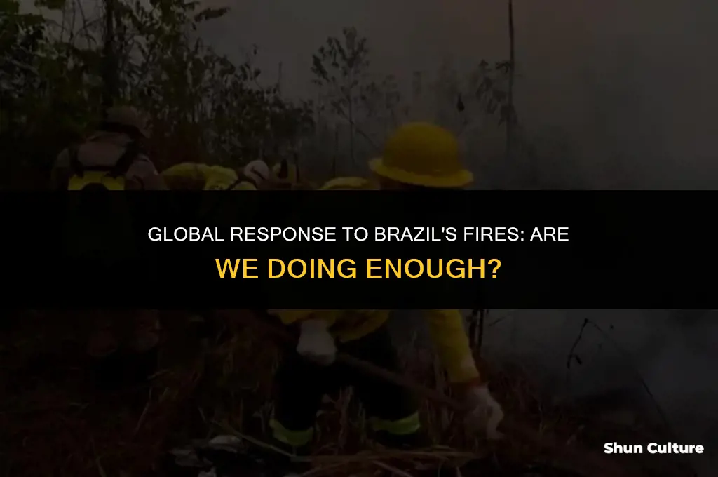 is anyone helping with the fires in brazil