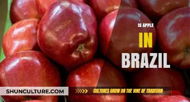 Exploring Apple's Presence and Influence in Brazil