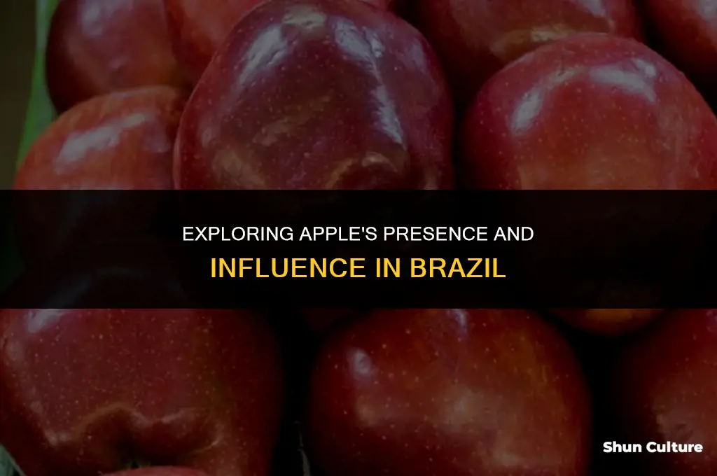 is apple in brazil