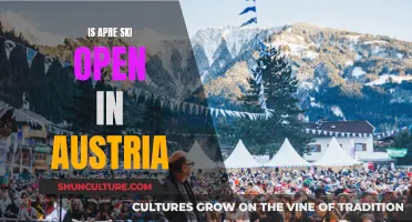 Austria's Apre Ski Scene: Open and Ready to Party