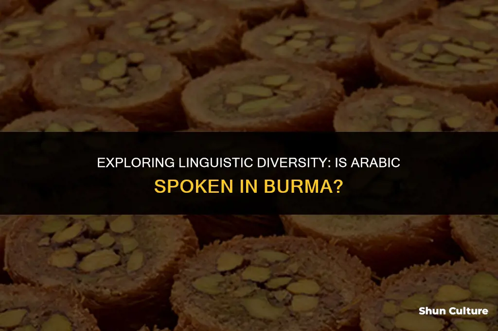 is arabic spoken in burma