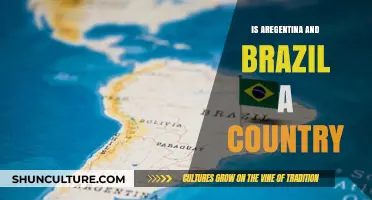 Argentina and Brazil: Exploring Their Unique Identities as Separate Countries