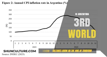 Exploring Argentina's Economic Landscape: Third World or Emerging Market?