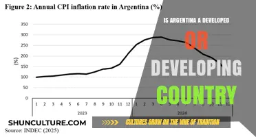 Exploring Argentina's Economic Status: Developed or Developing?
