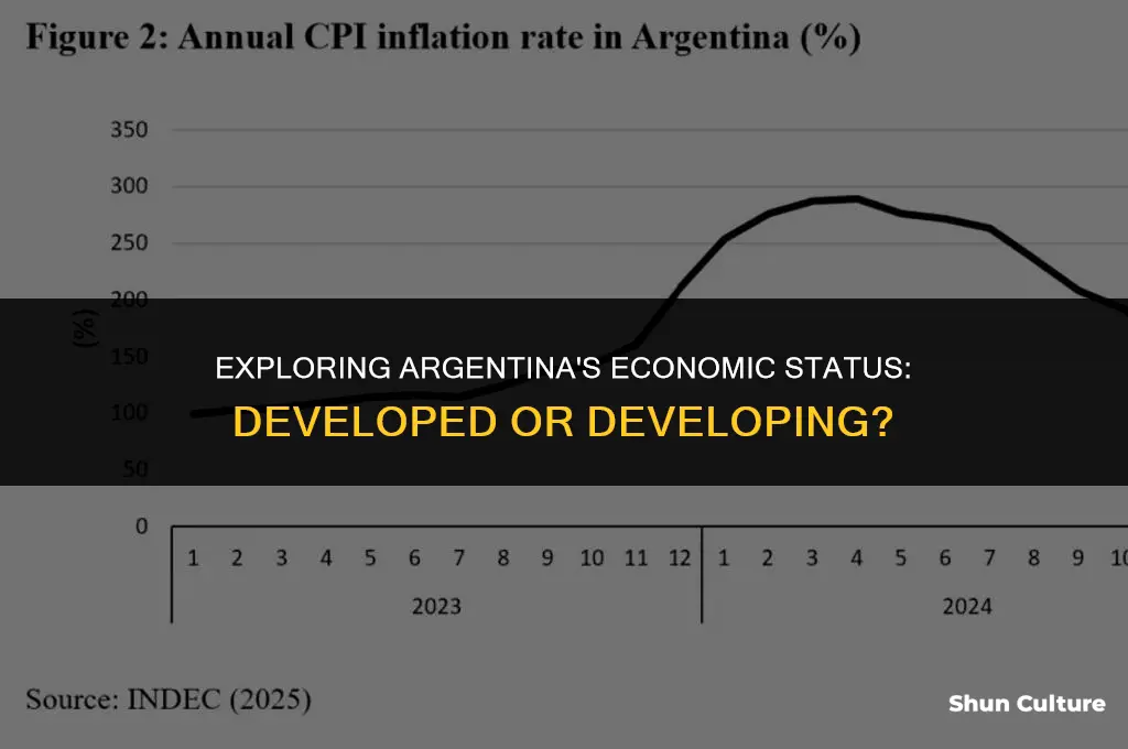 is argentina a developed or developing country