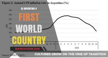 Exploring Argentina's Economic Landscape: A First World Country?