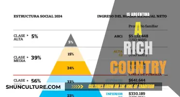 Exploring Argentina's Economic Landscape: Richness Beyond GDP