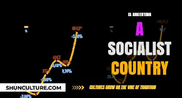 Exploring Argentina's Economic Ideology: Socialist or Not?