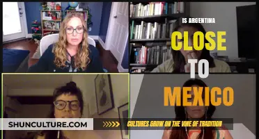 Exploring Proximity: Argentina and Mexico's Cultural and Economic Ties