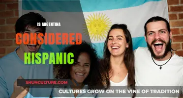 Exploring Hispanic Identity: Argentina's Cultural Classification Debated