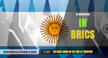 Argentina's Role in BRICS: Opportunities and Challenges Ahead