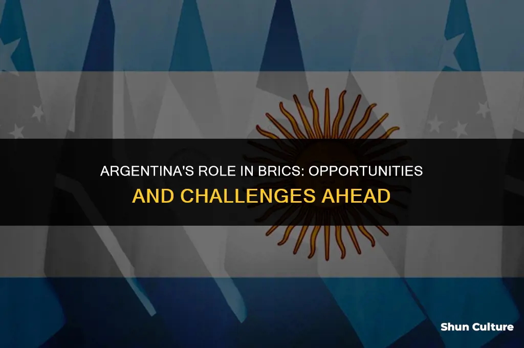 is argentina in brics