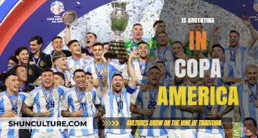 Argentina's Journey in Copa America: A Legacy of Triumphs and Challenges