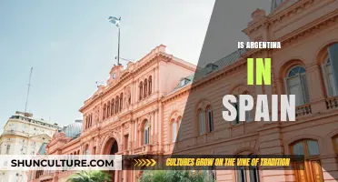 Exploring Argentina's Cultural Presence in Spain: A Deep Dive