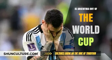 Argentina's World Cup Journey: Is It Over?