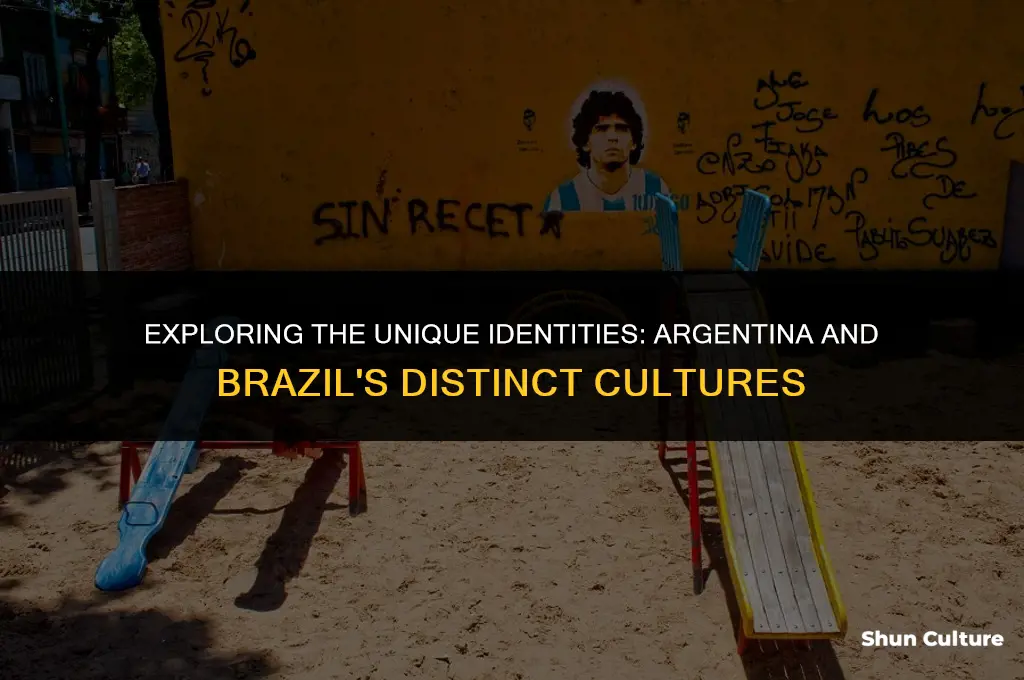 is argentina part of brazil