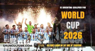 Argentina's Journey to the 2026 World Cup: Qualification Insights