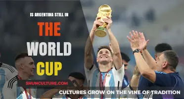 Argentina's World Cup Journey: Still in the Race?