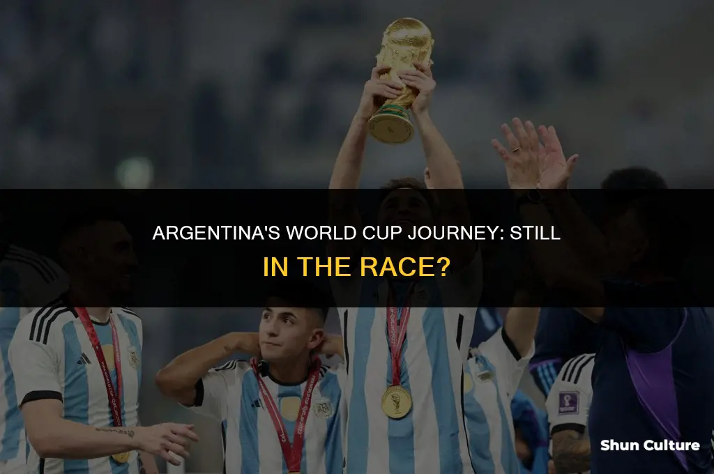 is argentina still in the world cup