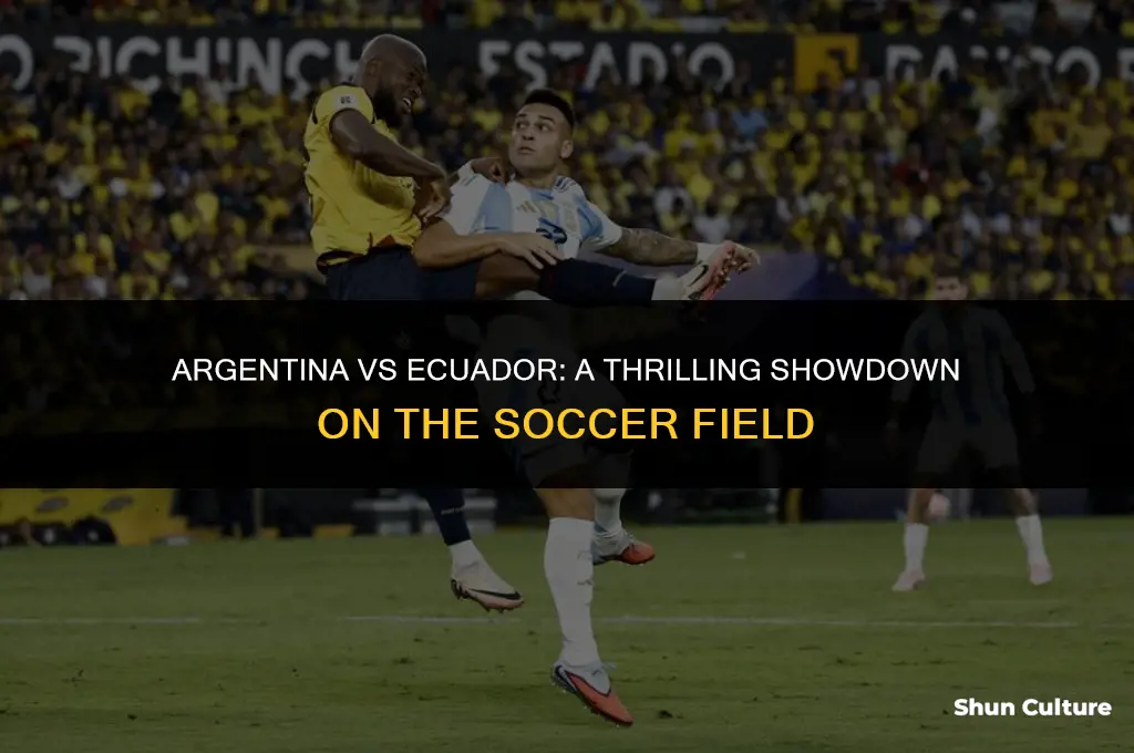 is argentina vs ecuador