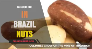 Are Brazil Nuts Rich in Arginine? Uncovering Nutritional Facts