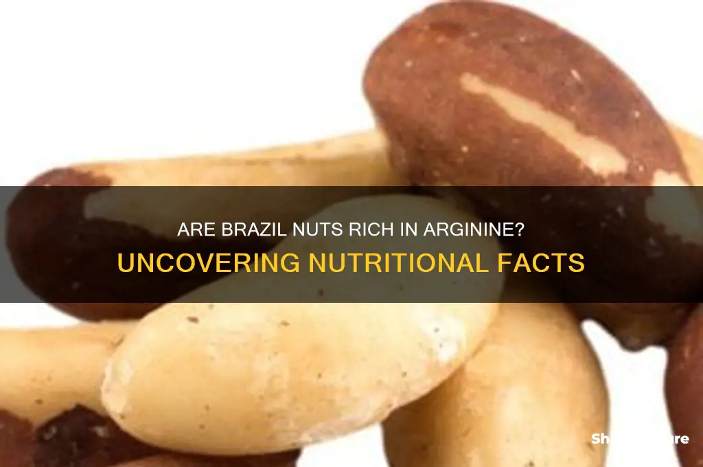 is arginine high in brazil nuts