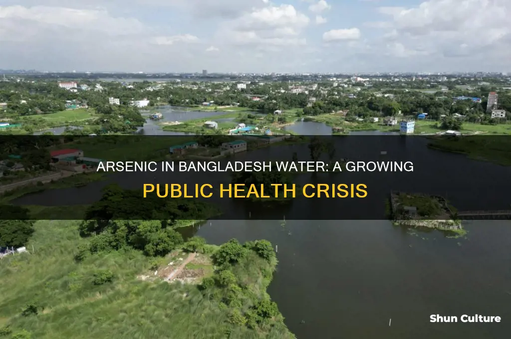 is arsenic in bangladesh water a public health emergency