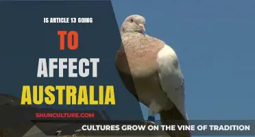 How Will Article 13 Impact Australia's Digital Landscape?