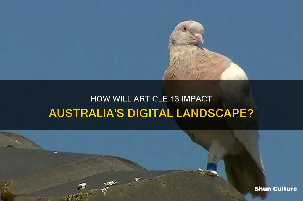 is article 13 going to affect australia