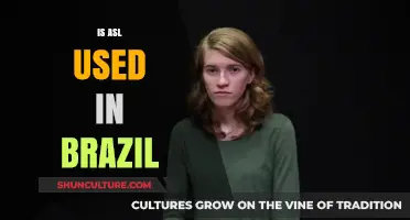 Exploring the Use of American Sign Language in Brazil