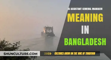 Understanding the Role of Assistant General Manager in Bangladesh