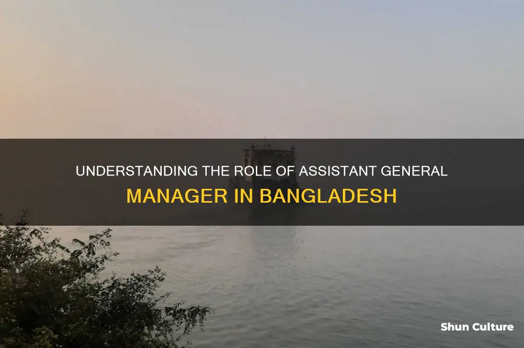 is assistant general manager meaning in bangladesh