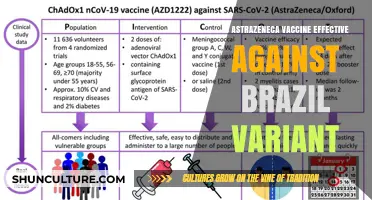 AstraZeneca Vaccine: Effective Against the Brazilian Variant?
